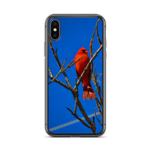 Funda transparente para iPhone® - Cardenal rojo