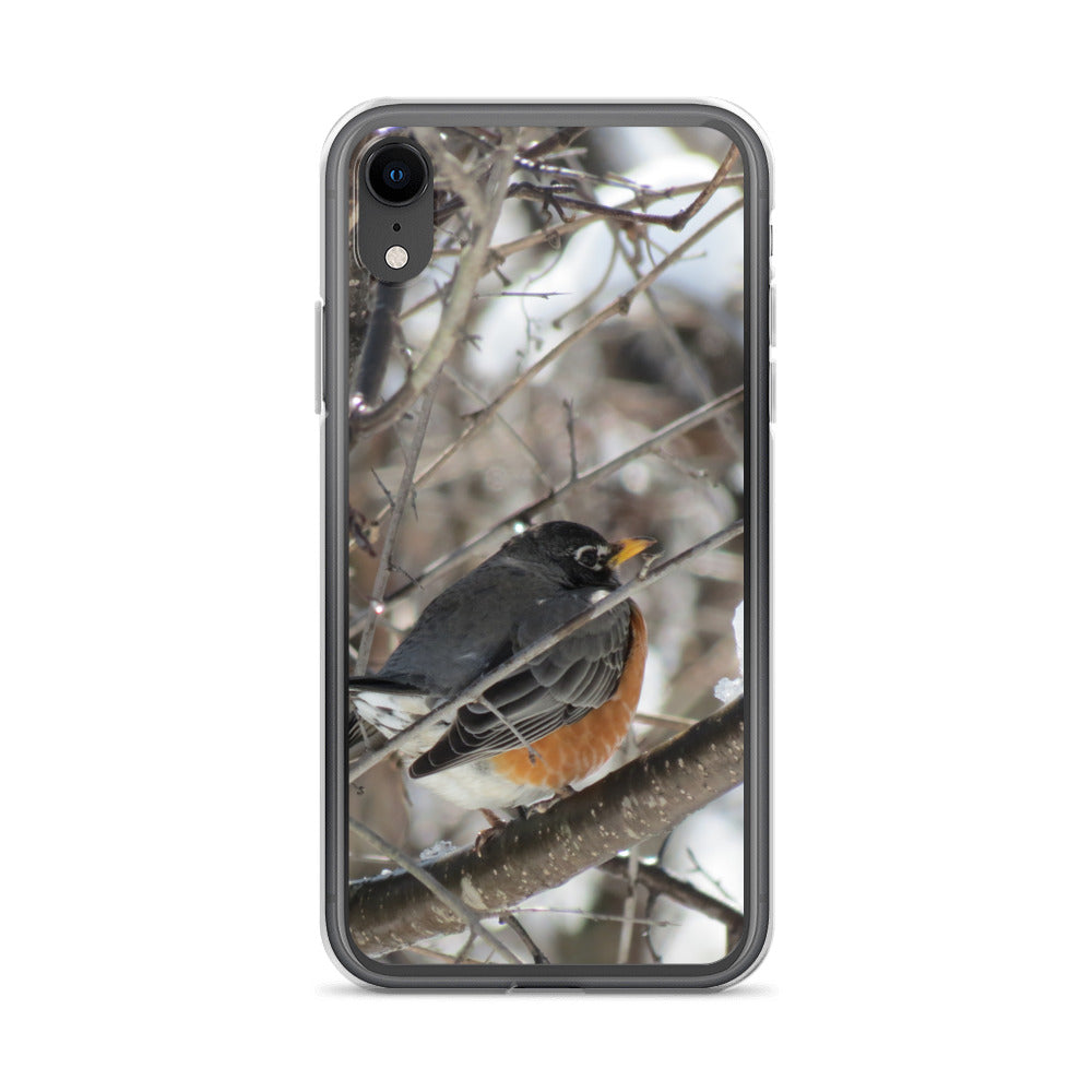 Coque transparente pour iPhone® - Snowy Robin