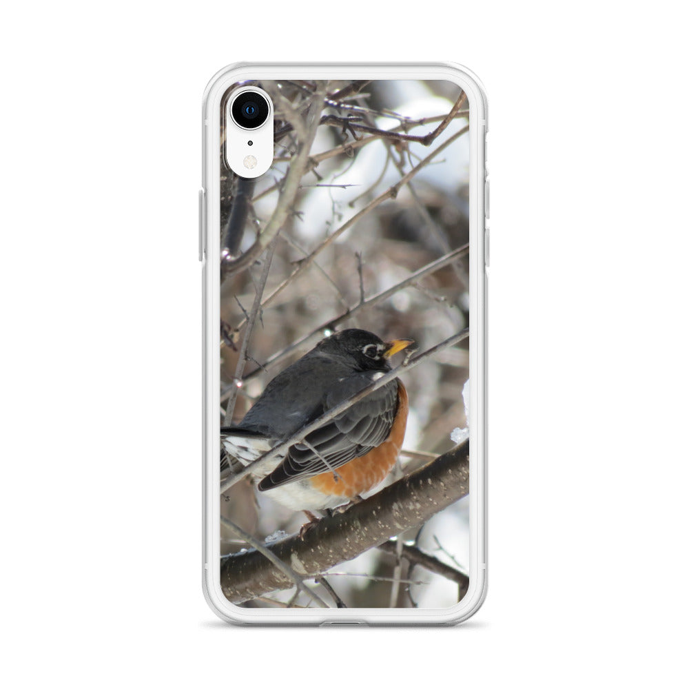 Coque transparente pour iPhone® - Snowy Robin