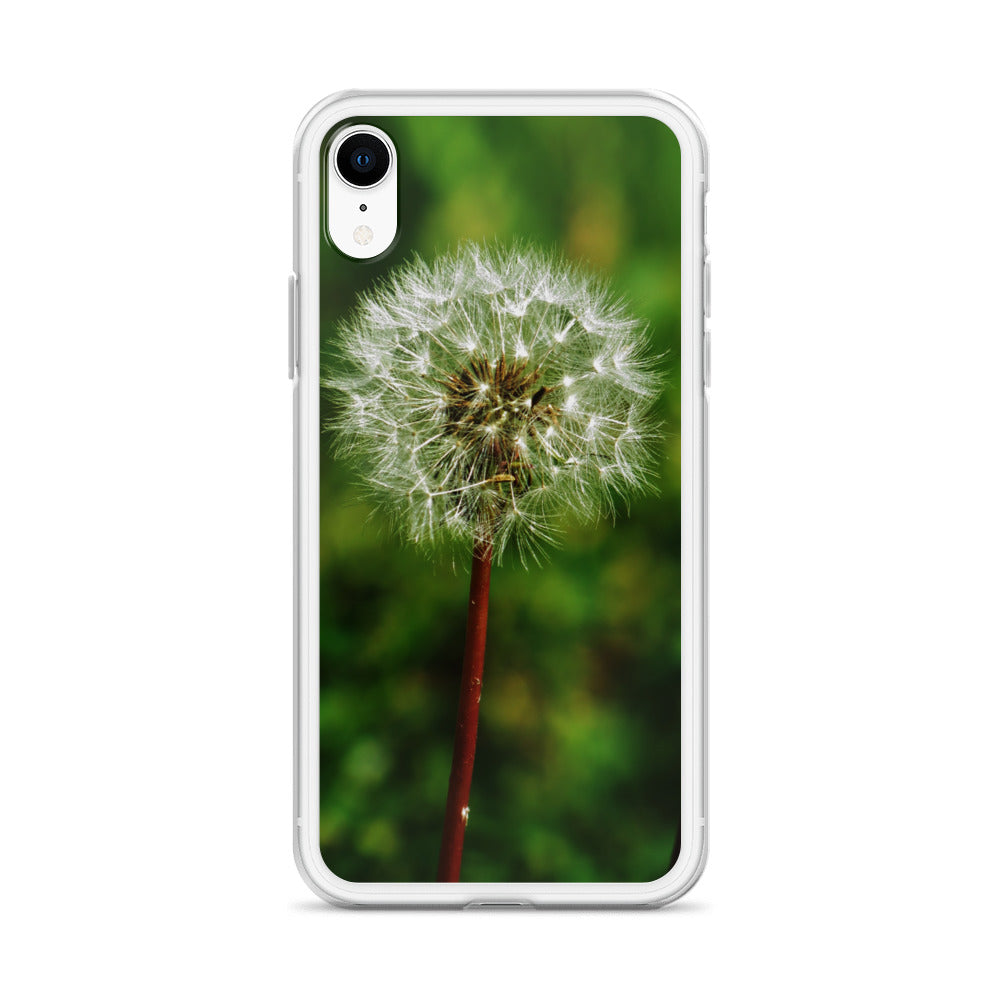 Clear Case for iPhone® - Dandelion Wish