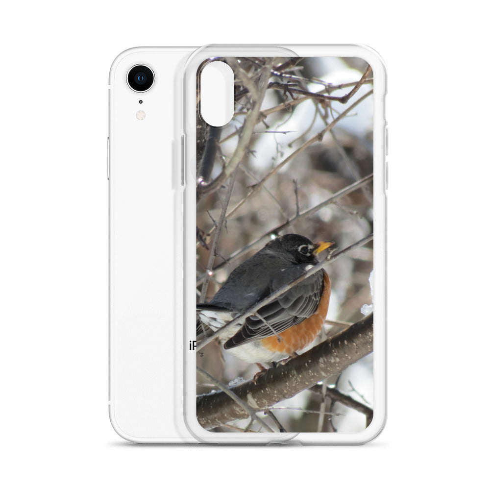 Coque transparente pour iPhone® - Snowy Robin