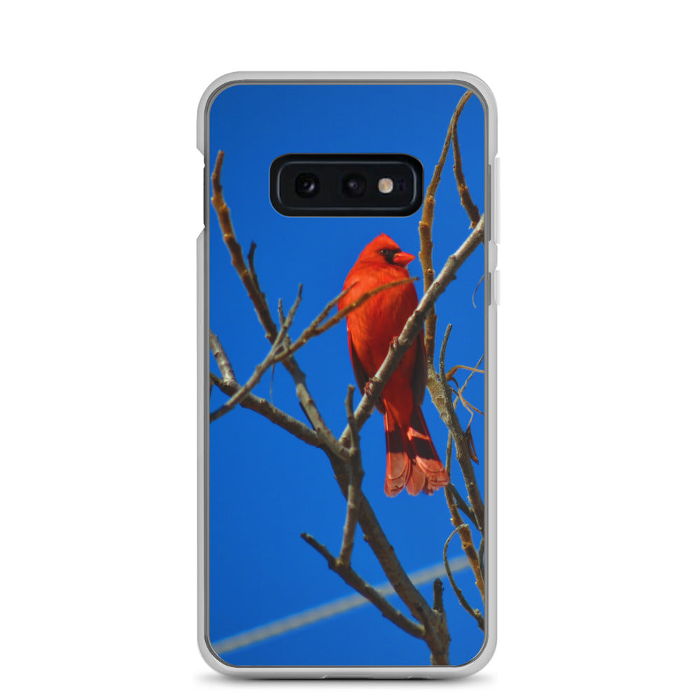 Étui transparent pour Samsung® - Cardinal rouge