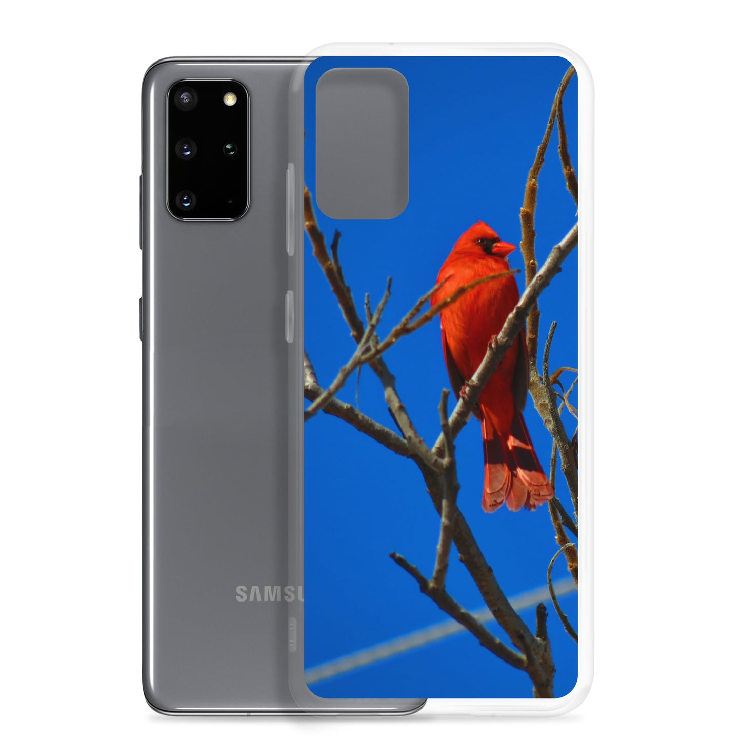 Étui transparent pour Samsung® - Cardinal rouge