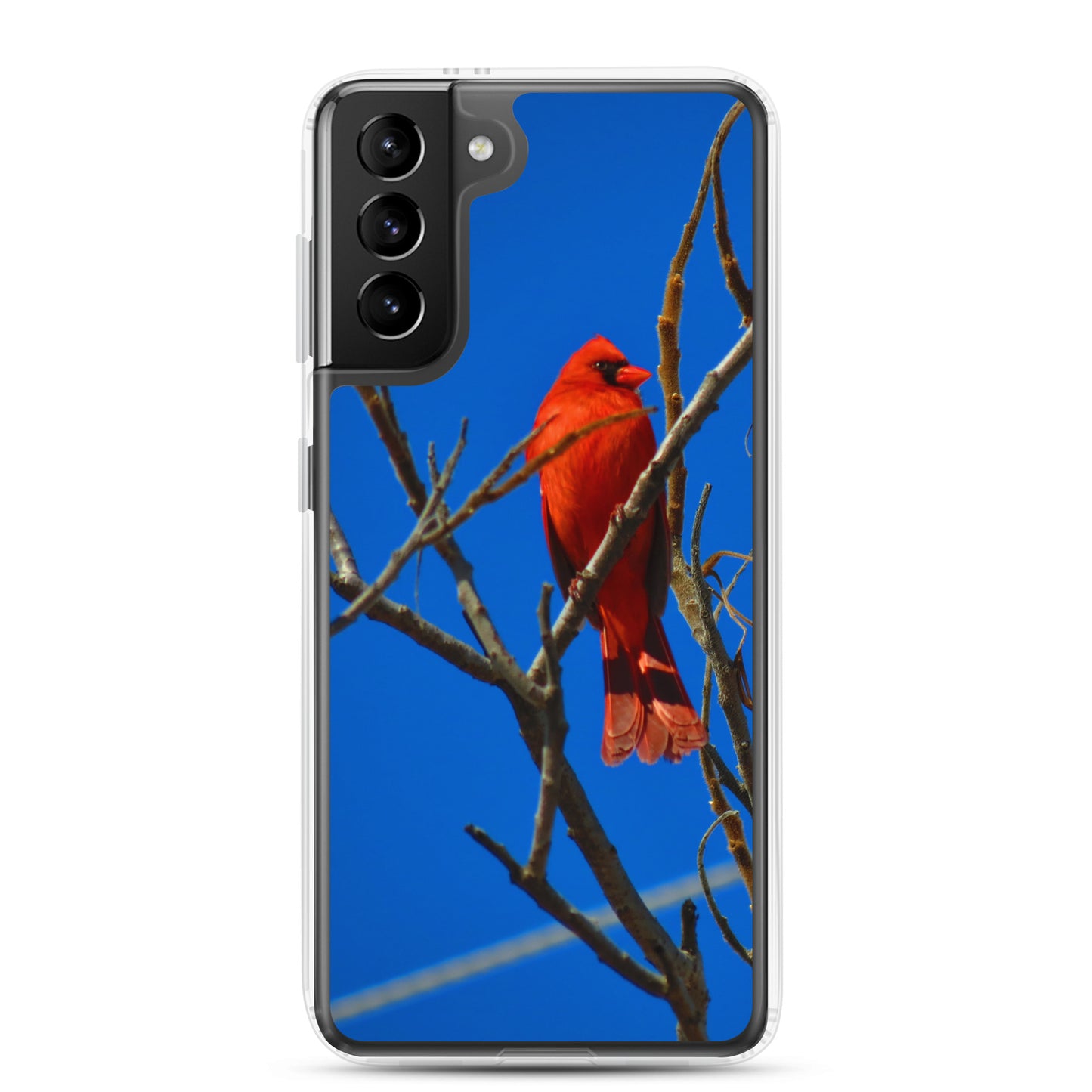 Étui transparent pour Samsung® - Cardinal rouge