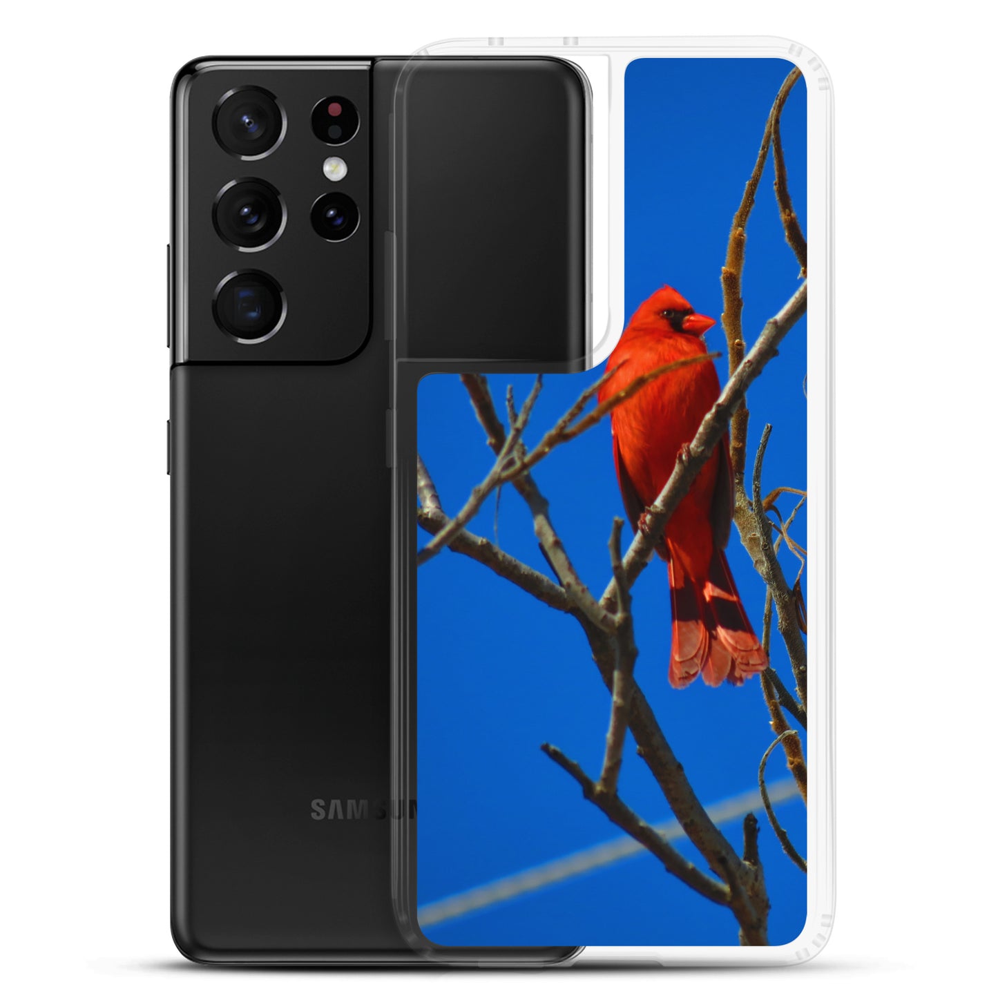Étui transparent pour Samsung® - Cardinal rouge