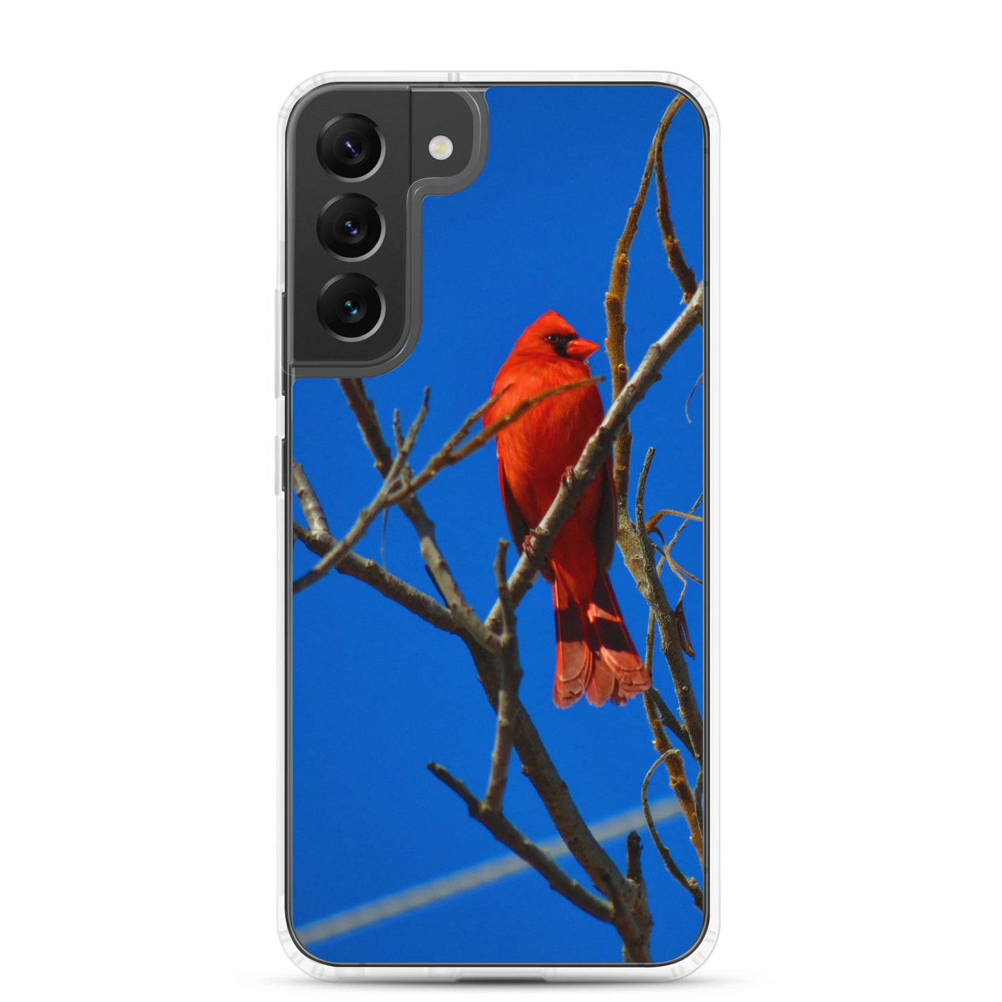 Étui transparent pour Samsung® - Cardinal rouge