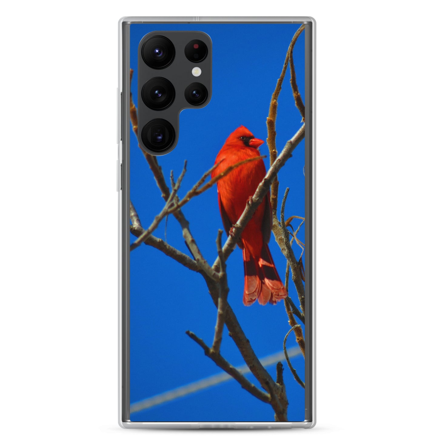Étui transparent pour Samsung® - Cardinal rouge