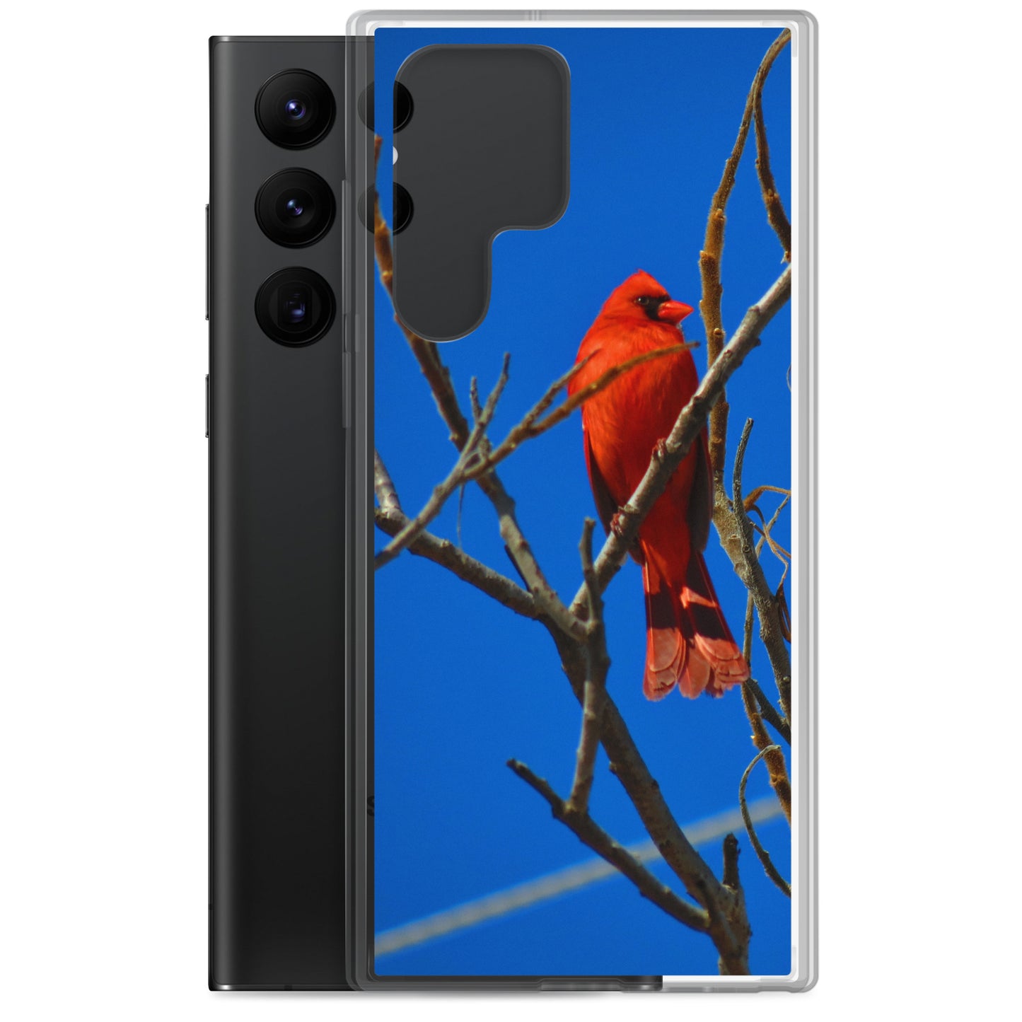 Étui transparent pour Samsung® - Cardinal rouge