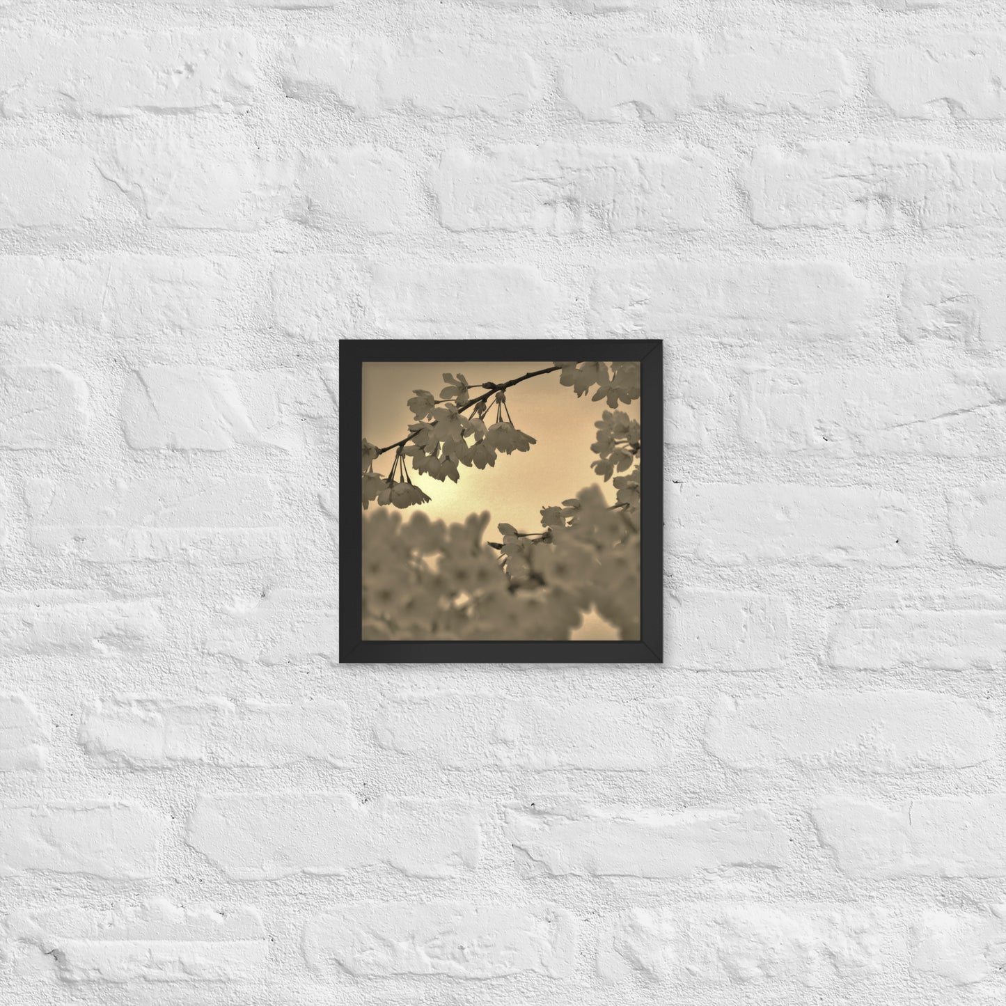 Framed poster - Sepia Cherry Blossoms