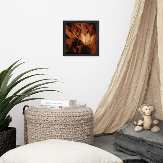 Framed poster - Sepia Opened Tulip