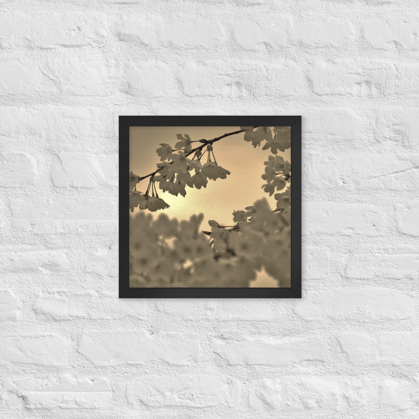 Framed poster - Sepia Cherry Blossoms