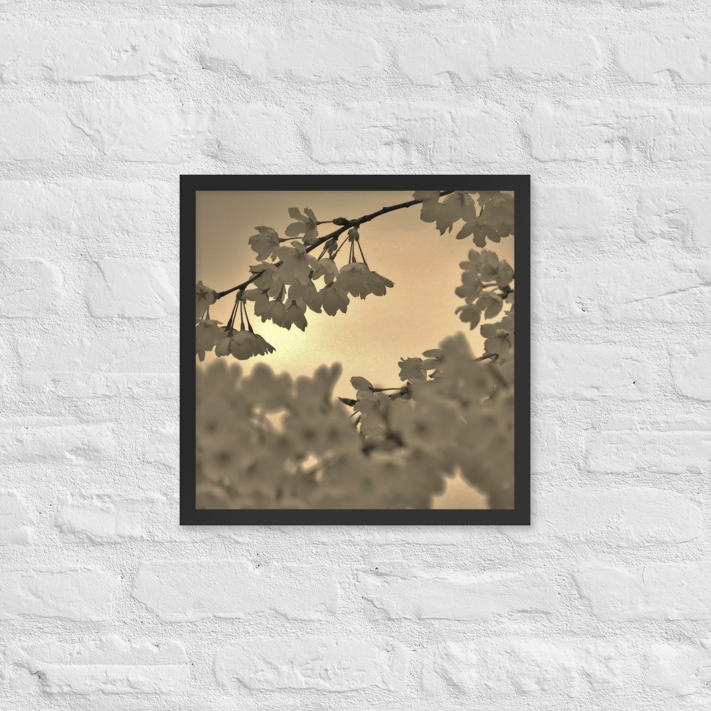 Framed poster - Sepia Cherry Blossoms