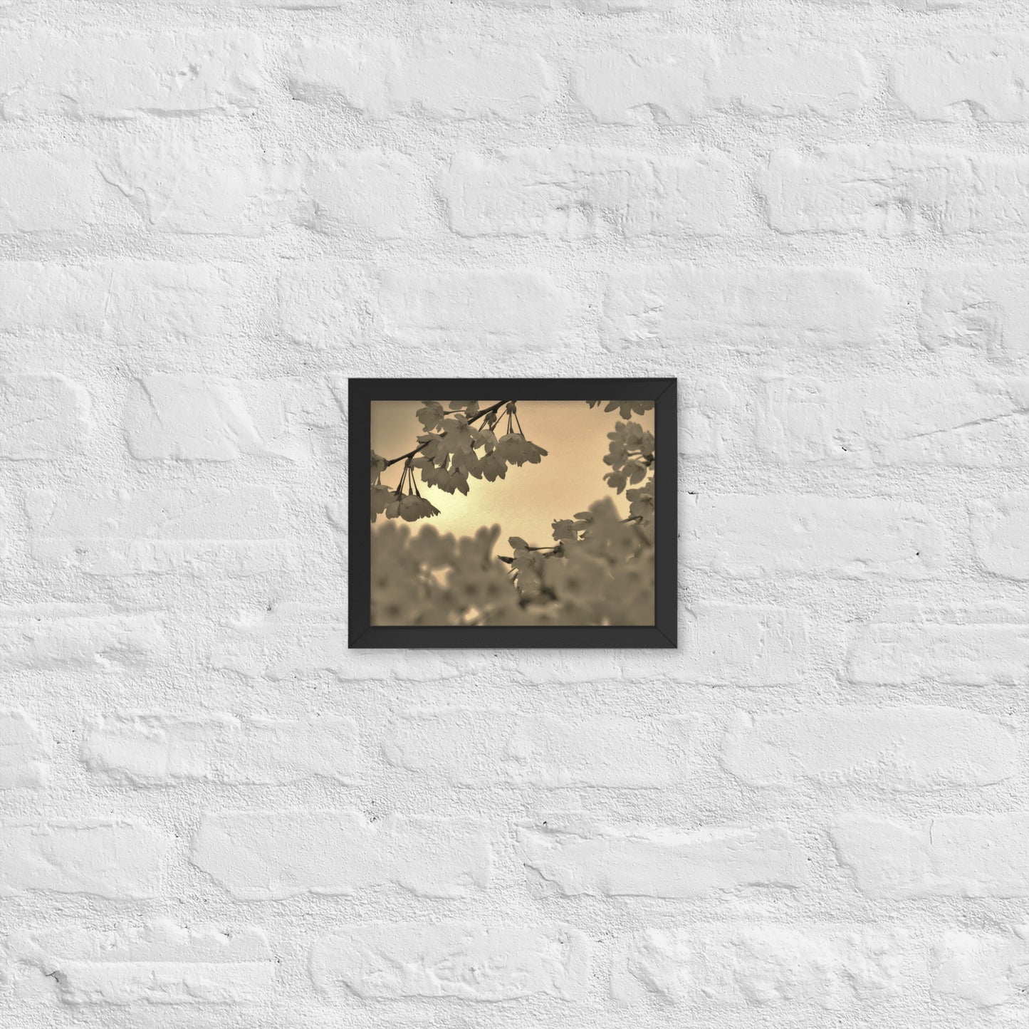 Framed poster - Sepia Cherry Blossoms