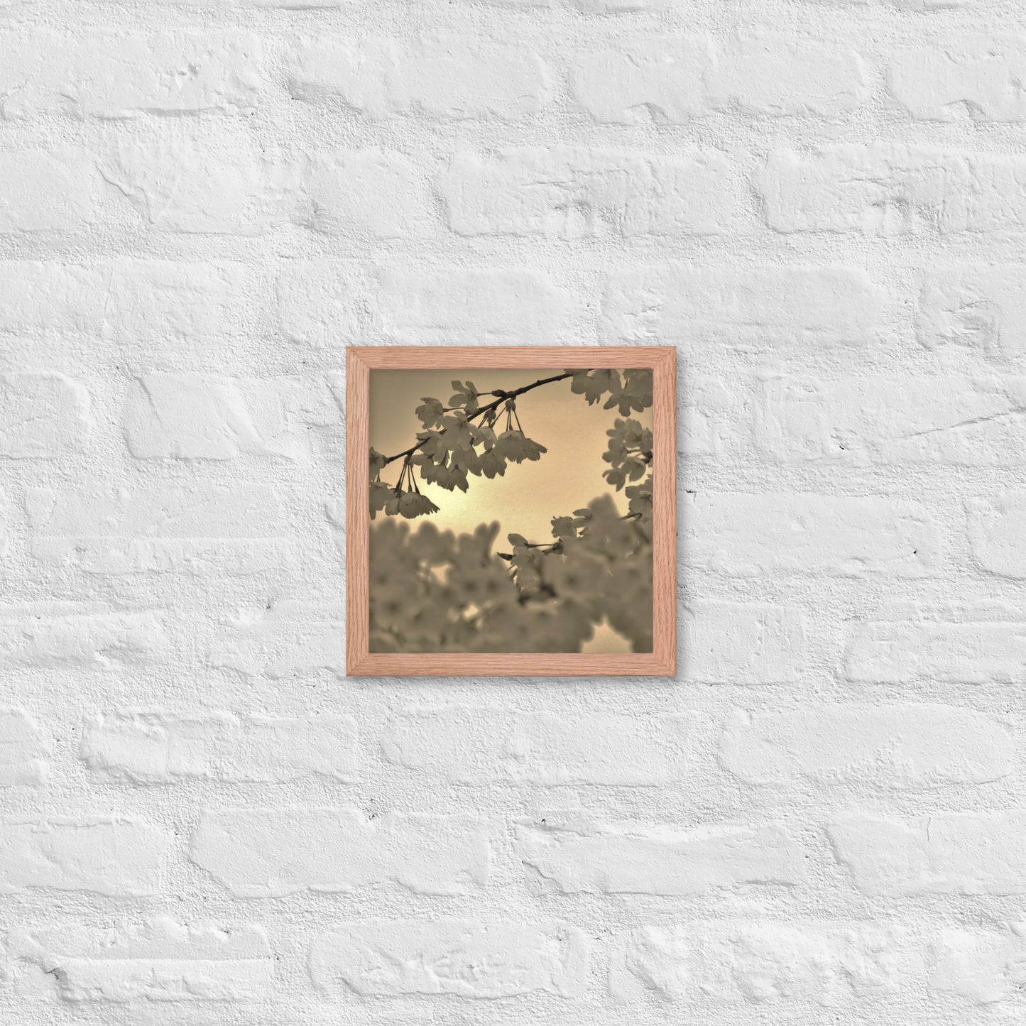 Framed poster - Sepia Cherry Blossoms