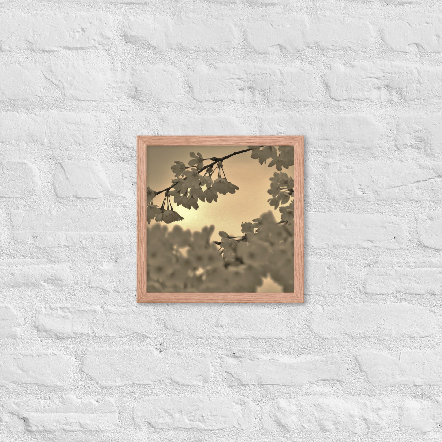 Framed poster - Sepia Cherry Blossoms
