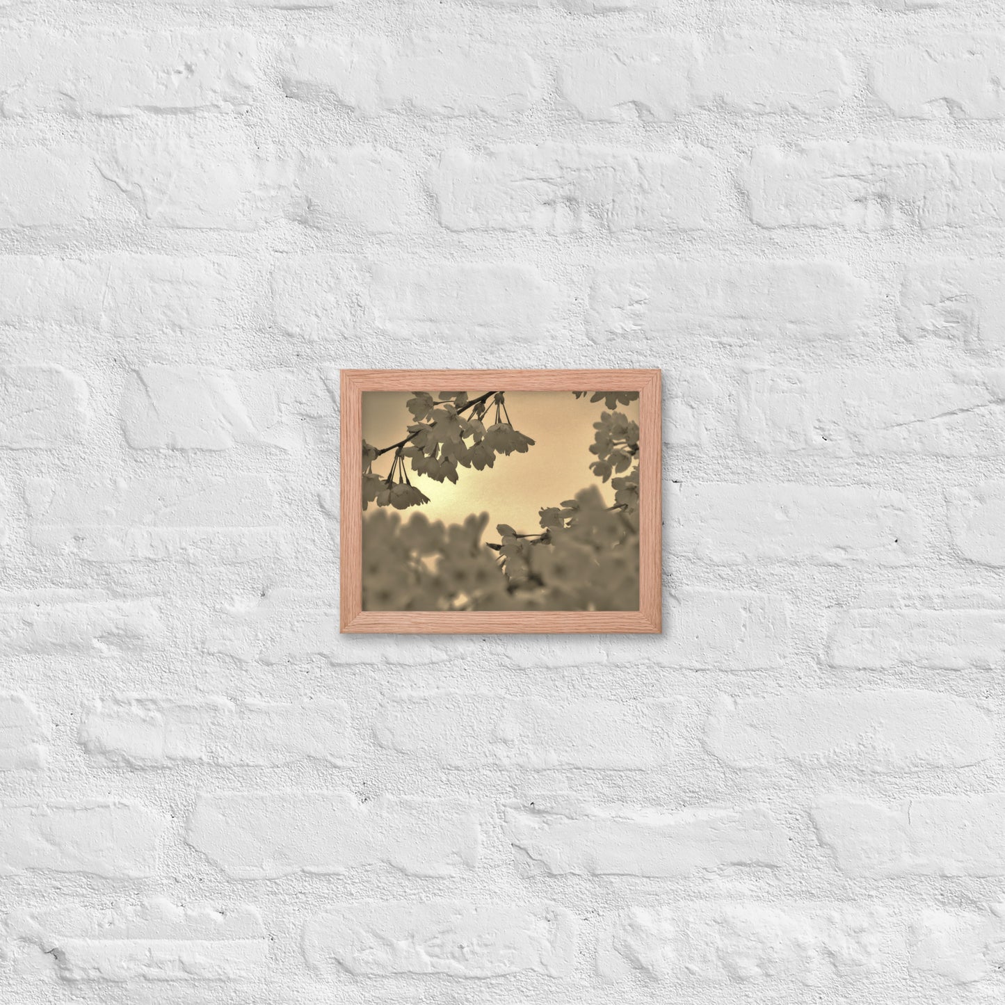 Framed poster - Sepia Cherry Blossoms