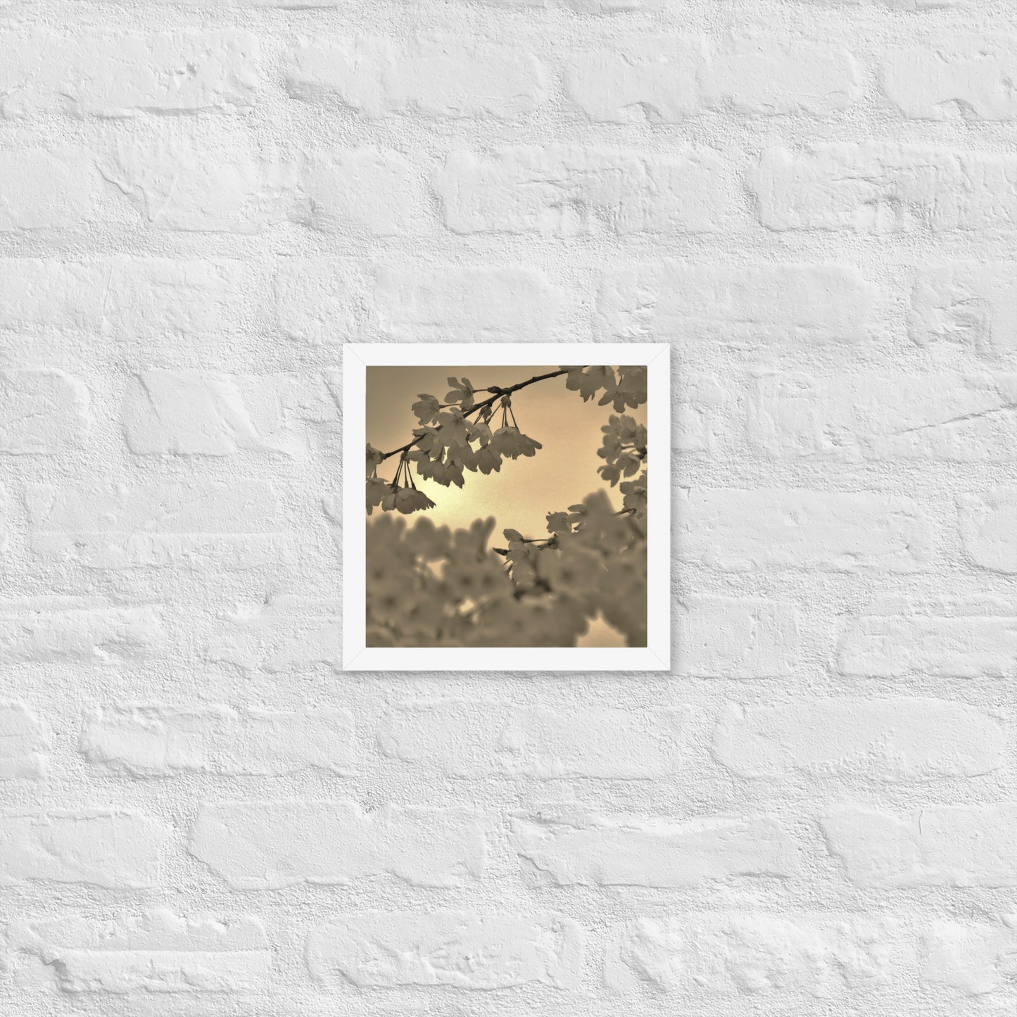 Framed poster - Sepia Cherry Blossoms