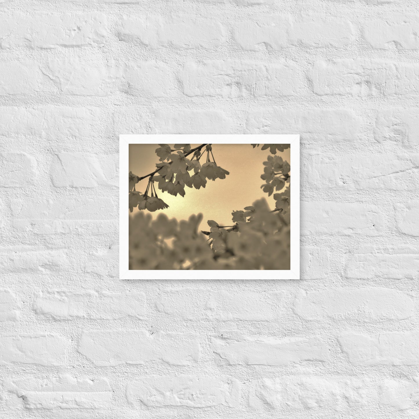 Framed poster - Sepia Cherry Blossoms
