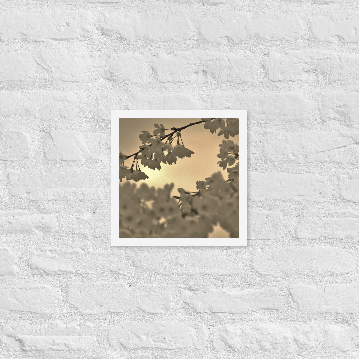 Framed poster - Sepia Cherry Blossoms