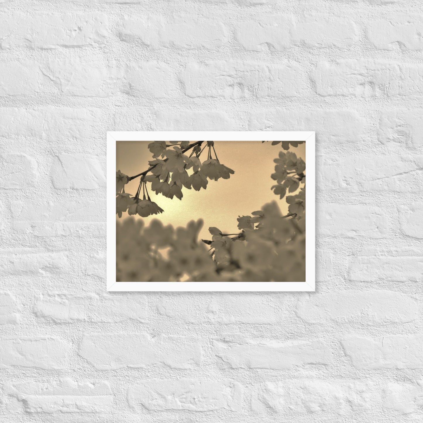 Framed poster - Sepia Cherry Blossoms
