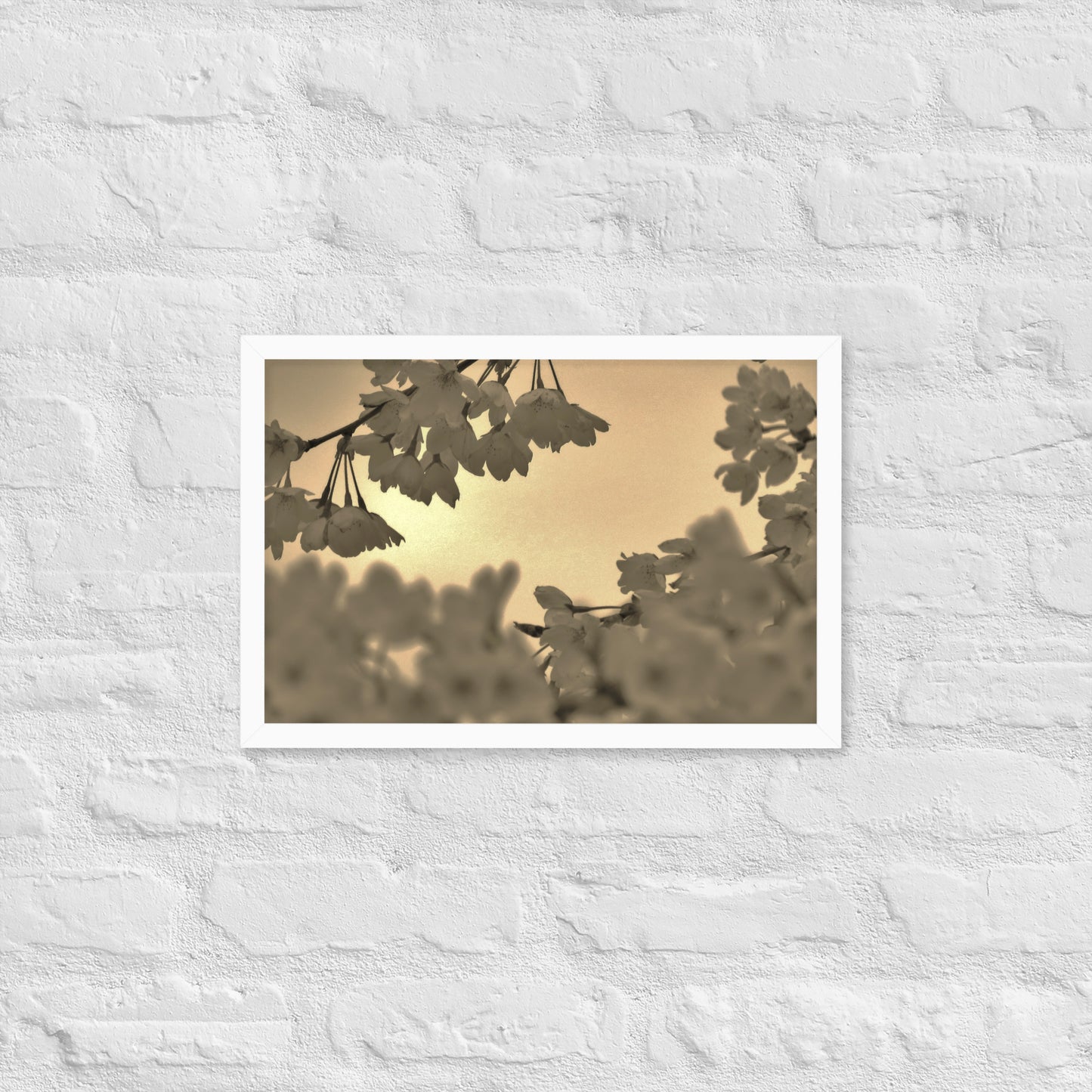 Framed poster - Sepia Cherry Blossoms