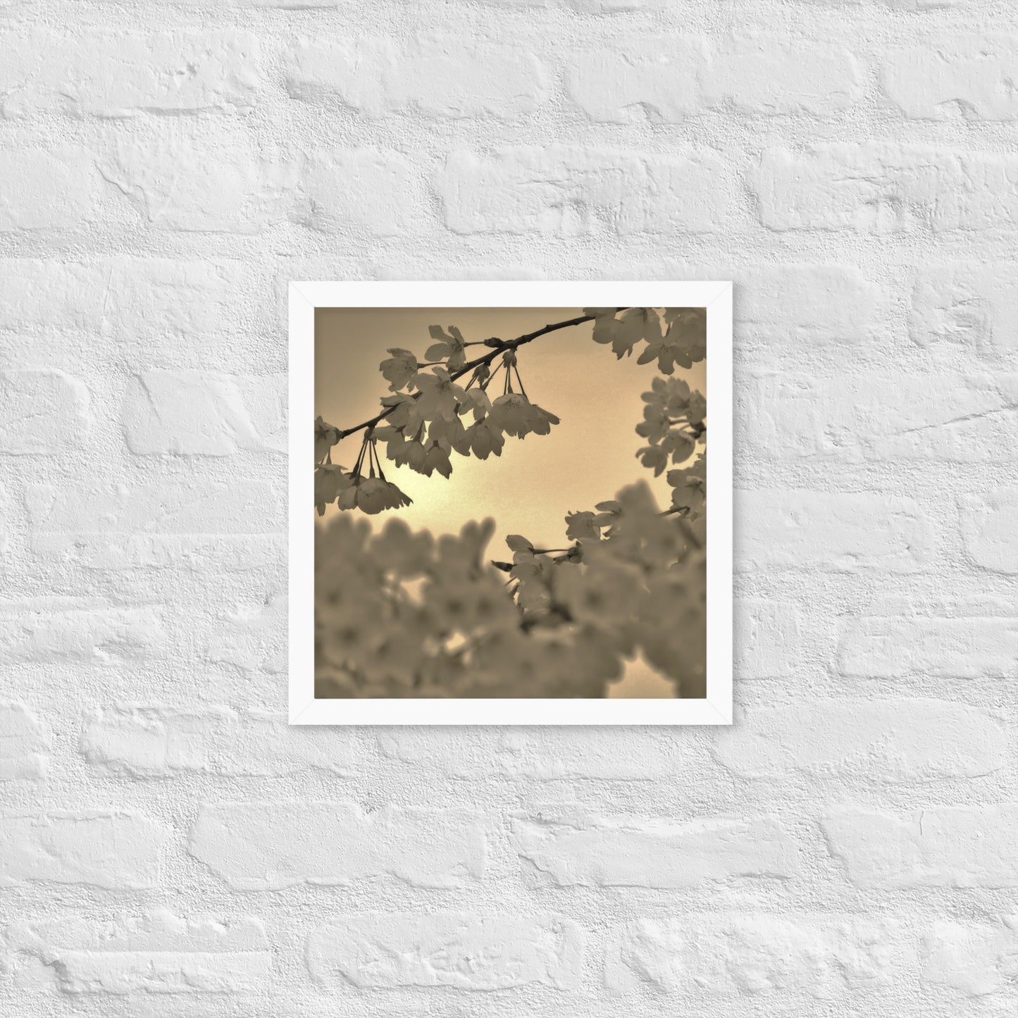 Framed poster - Sepia Cherry Blossoms