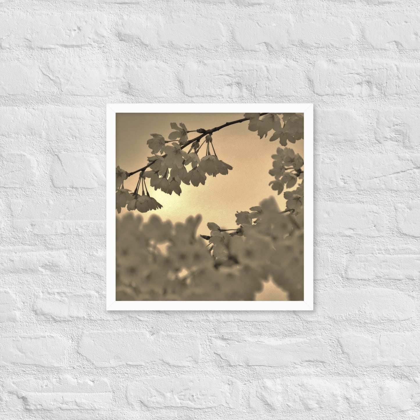Framed poster - Sepia Cherry Blossoms