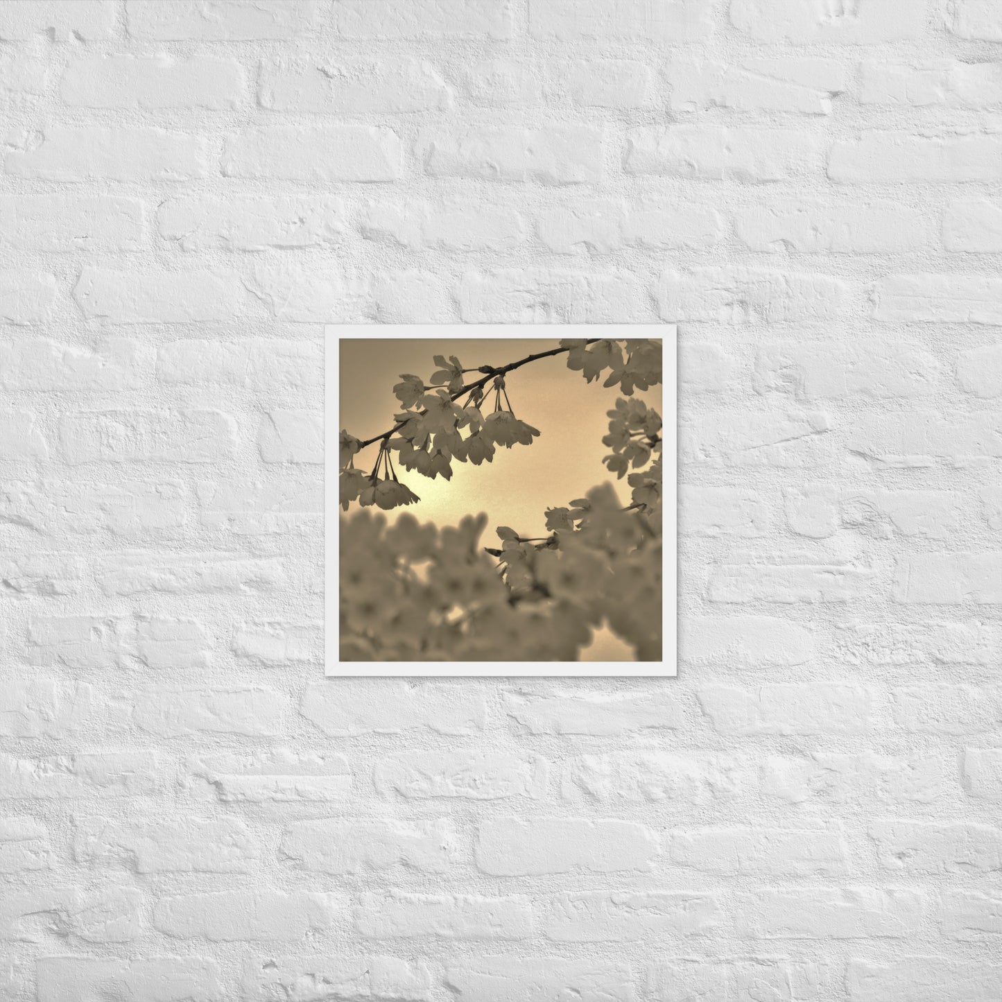 Framed poster - Sepia Cherry Blossoms