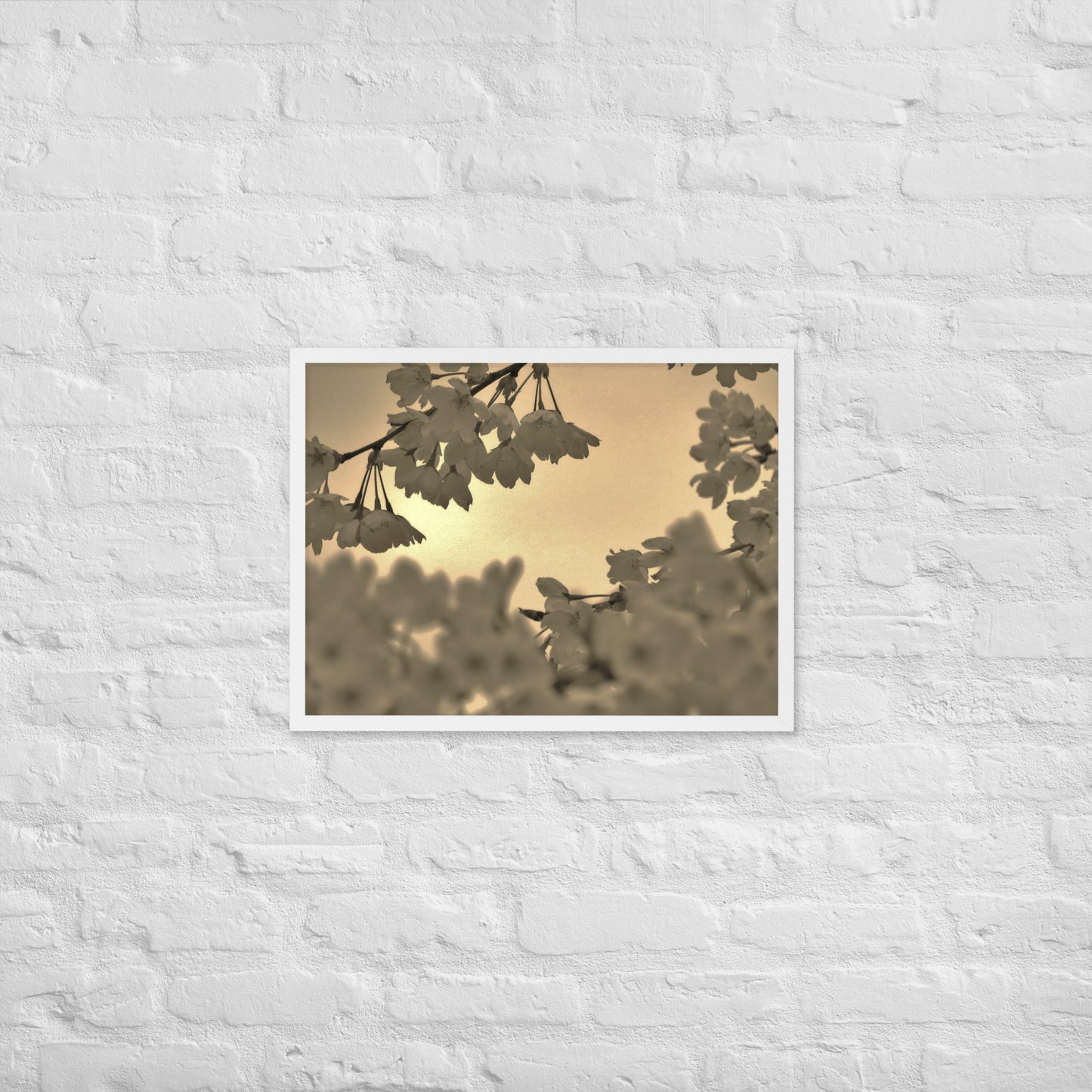 Framed poster - Sepia Cherry Blossoms