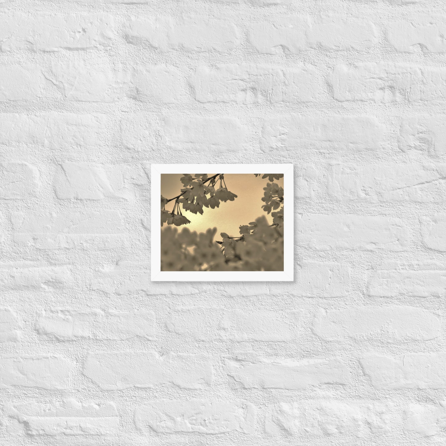 Framed poster - Sepia Cherry Blossoms