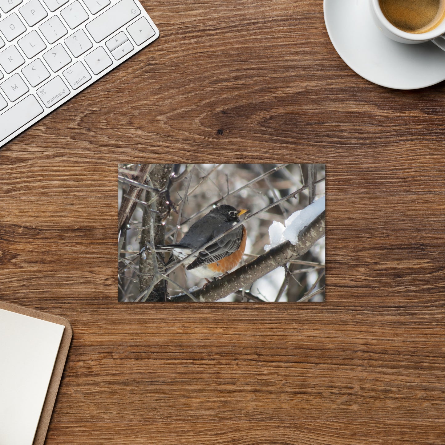 Carte de voeux - Snowy Robin