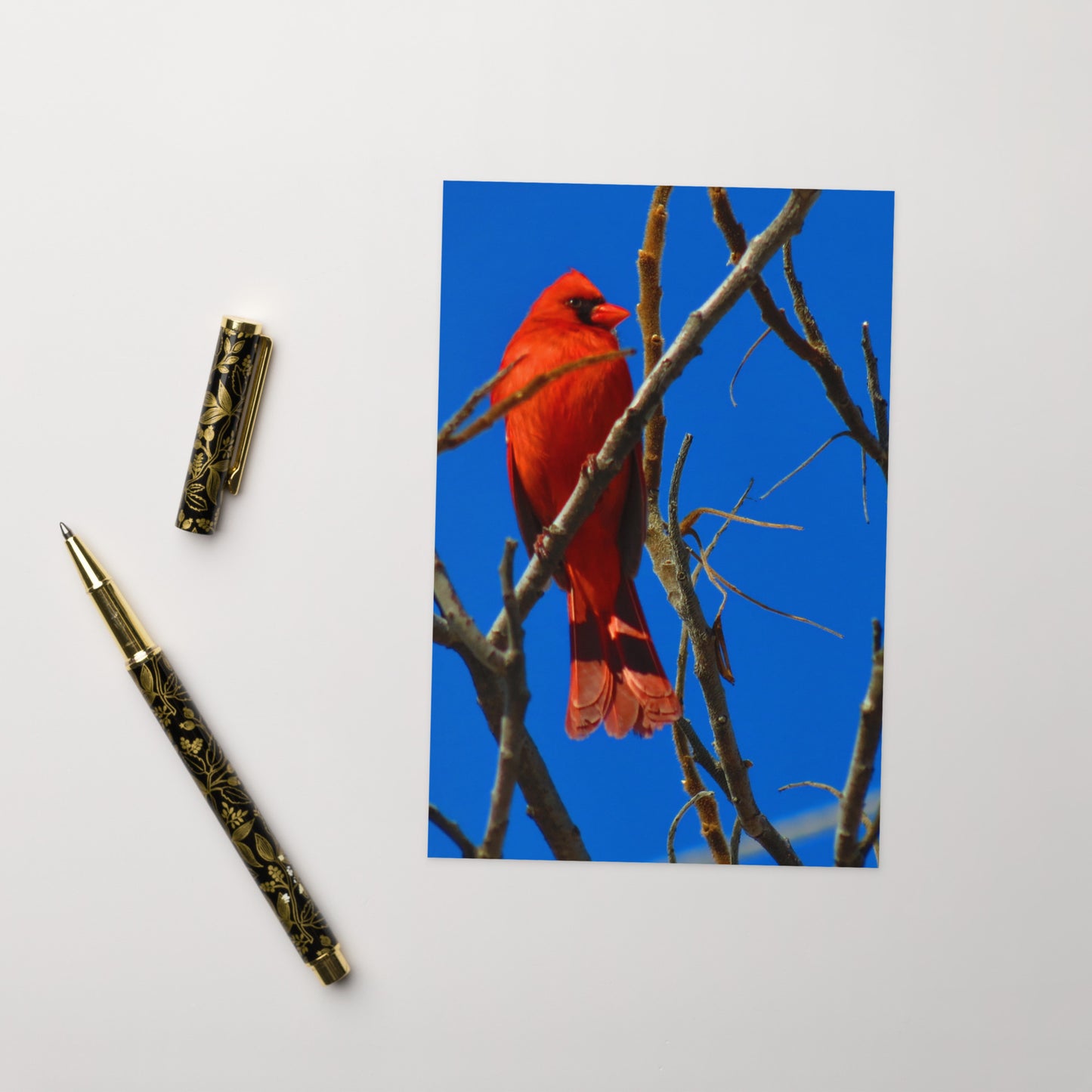 Carte de voeux - Cardinal Rouge