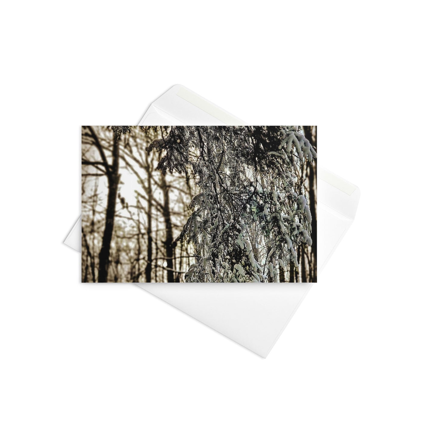 Carte de voeux - Cèdre d'hiver