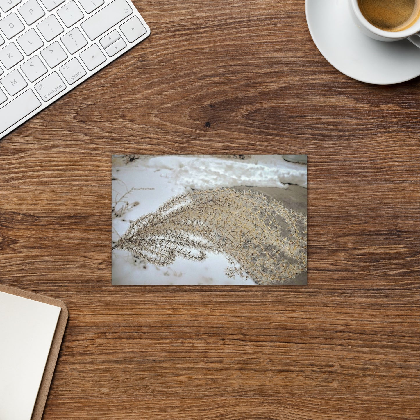 Greeting card- Winter Foliage
