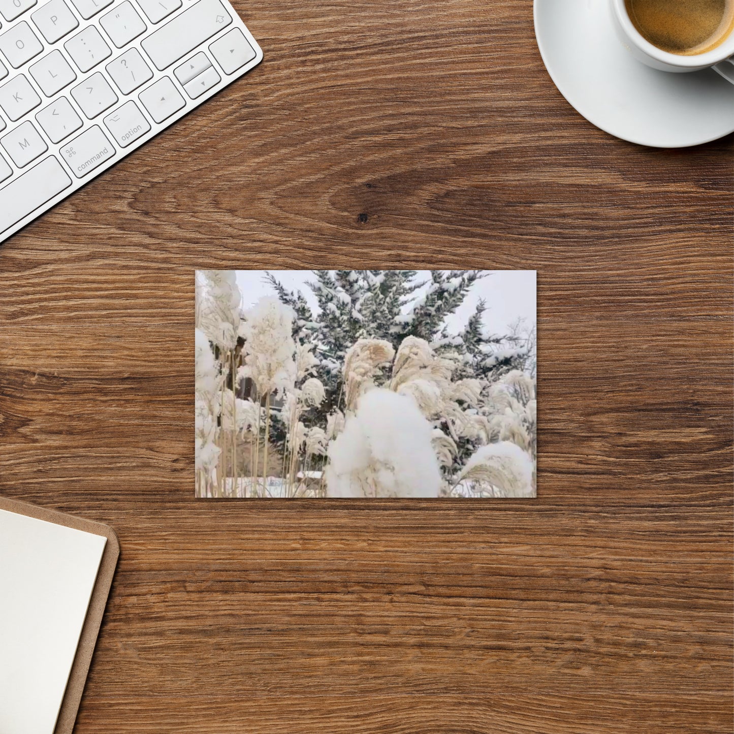 Greeting card- Snowy Foliage