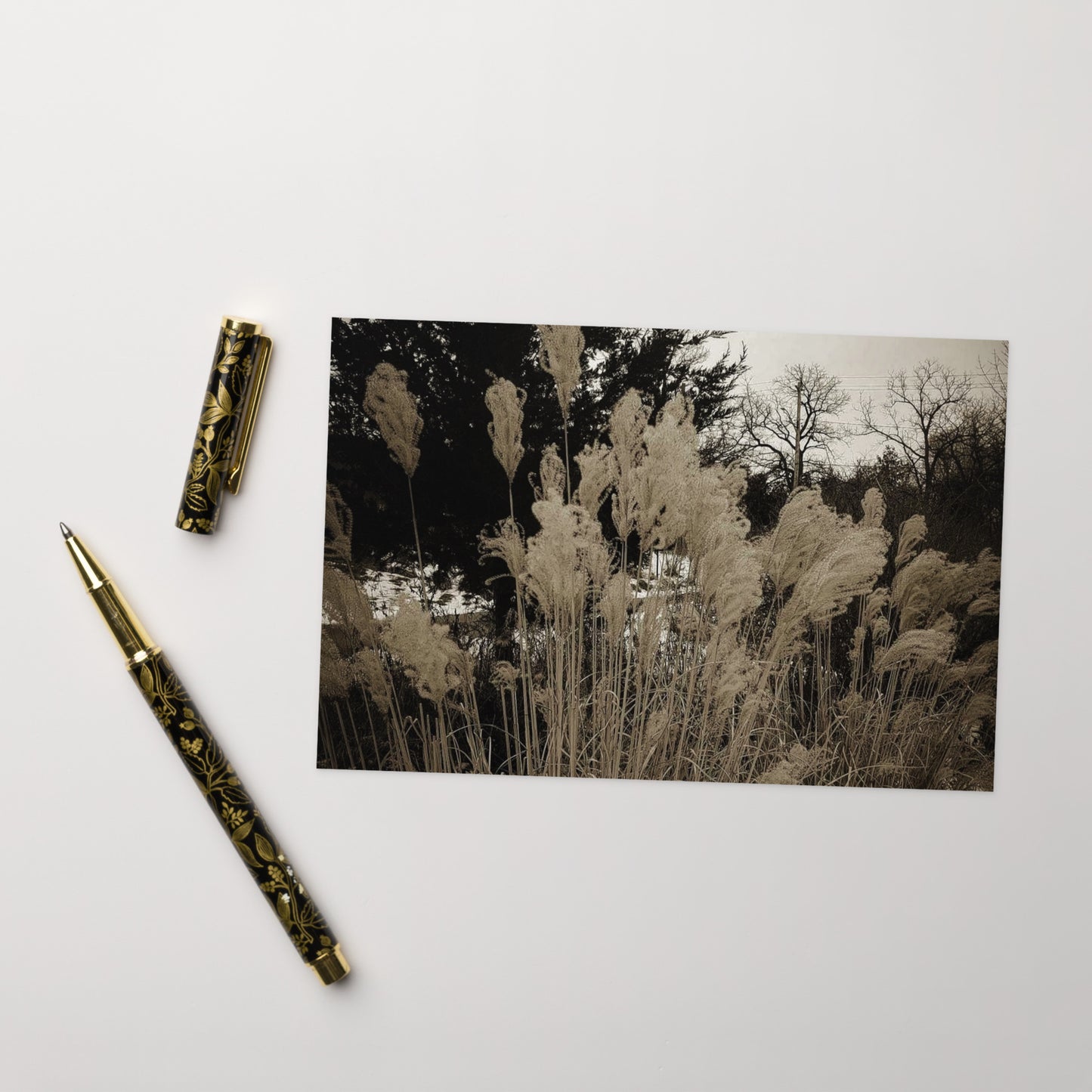 Greeting card- Winter's Nature
