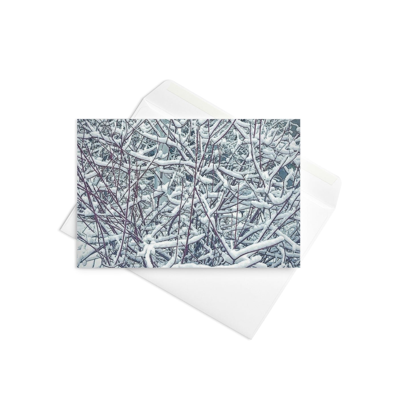 Greeting card- Snowy Bush