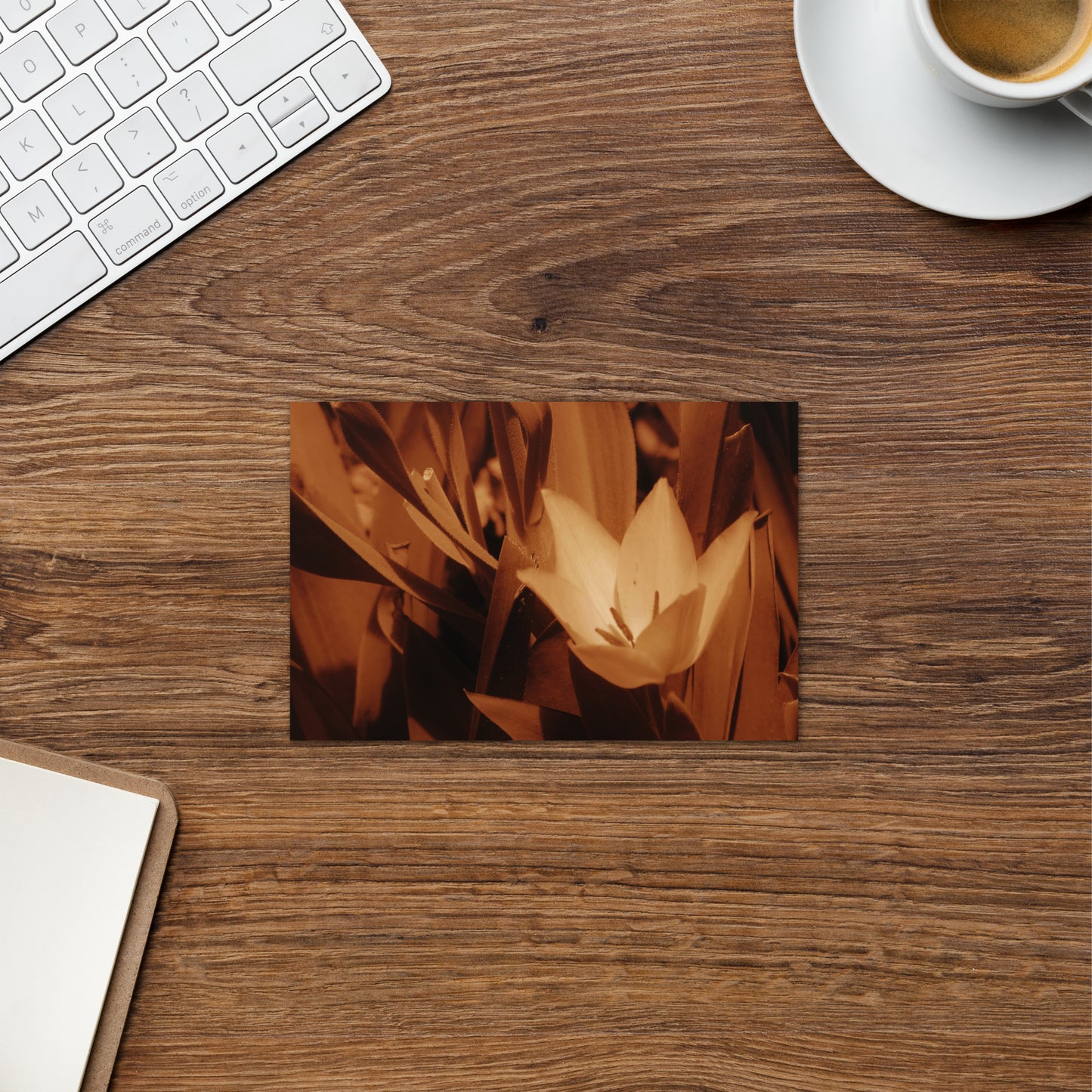 Greeting card - Sepia Opened Tulip