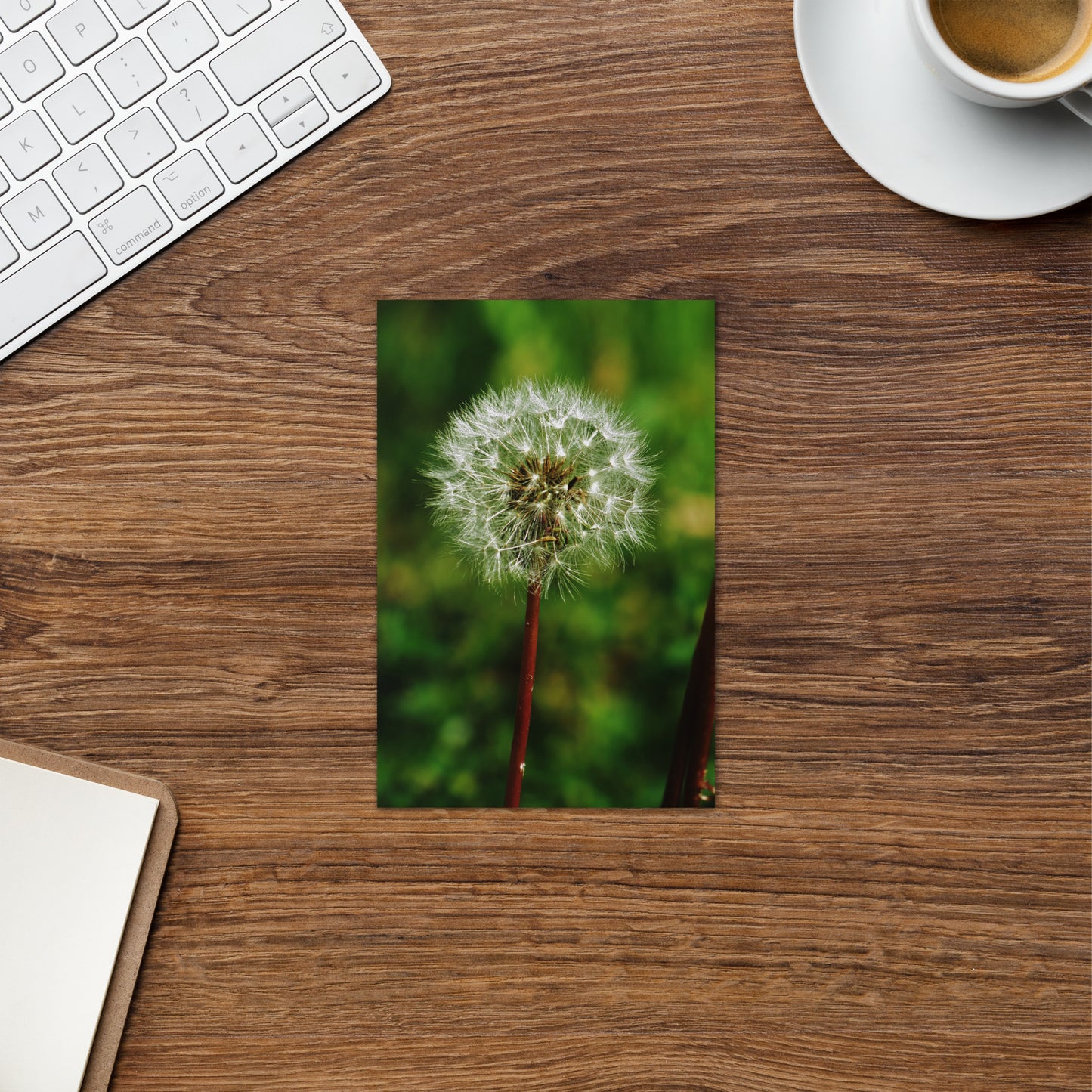 Greeting card - Dandelion Wish