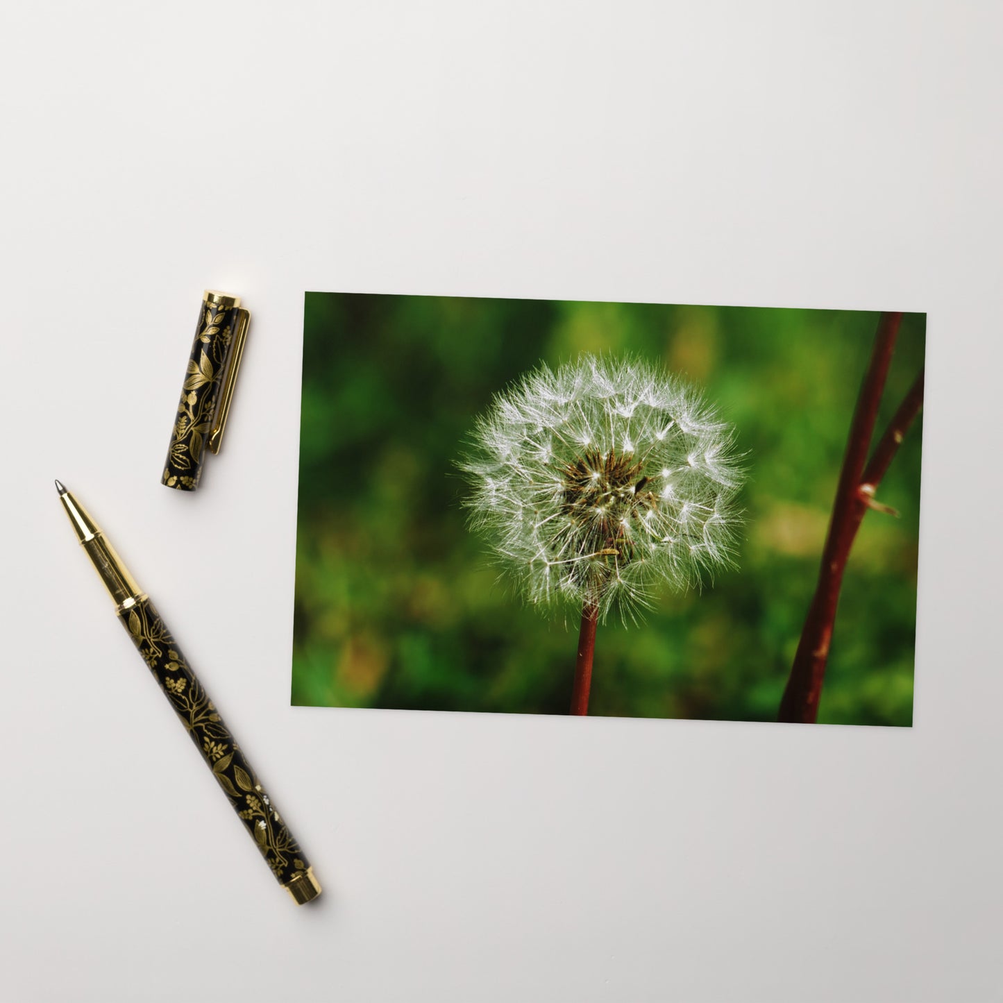 Greeting card - Dandelion Wish