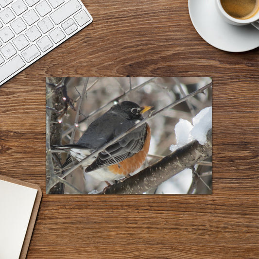Carte de voeux - Snowy Robin