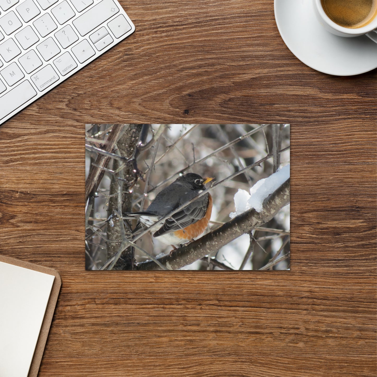 Carte de voeux - Snowy Robin