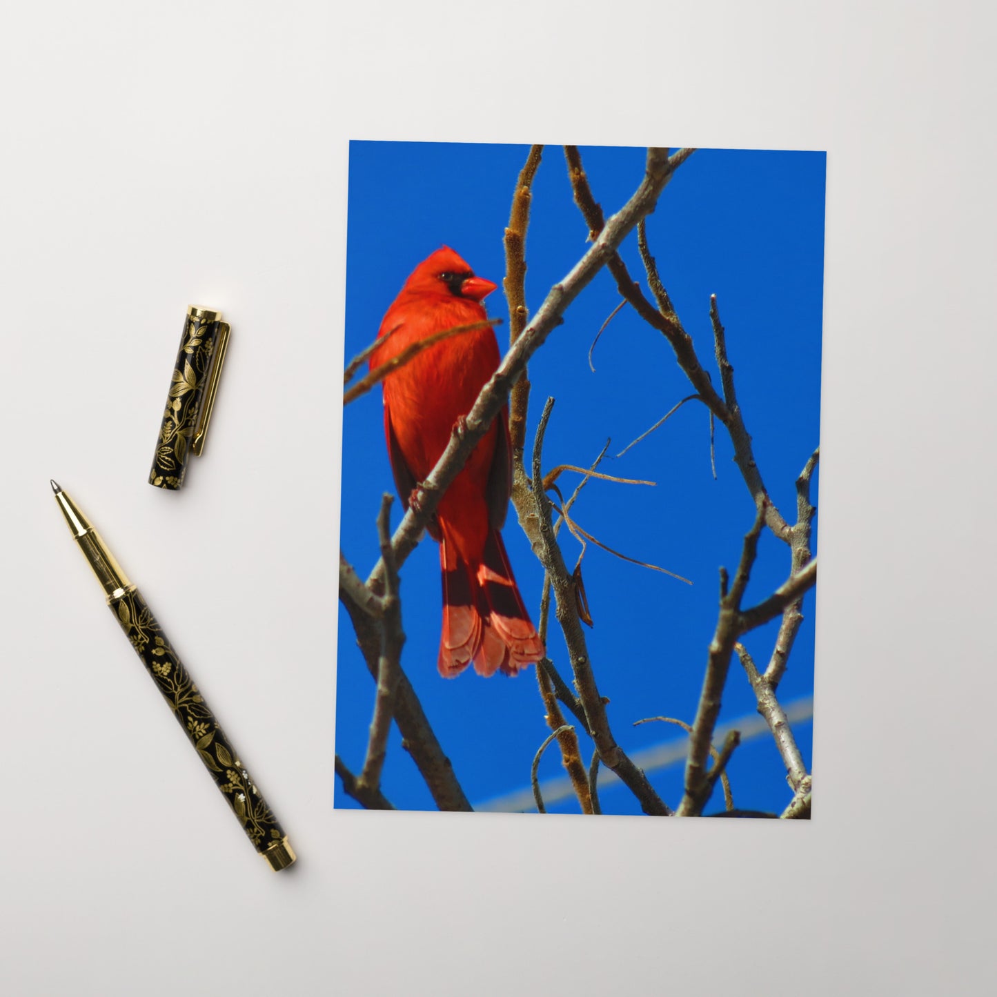 Carte de voeux - Cardinal Rouge