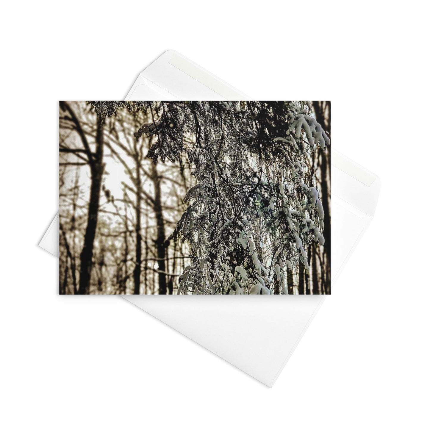 Carte de voeux - Cèdre d'hiver