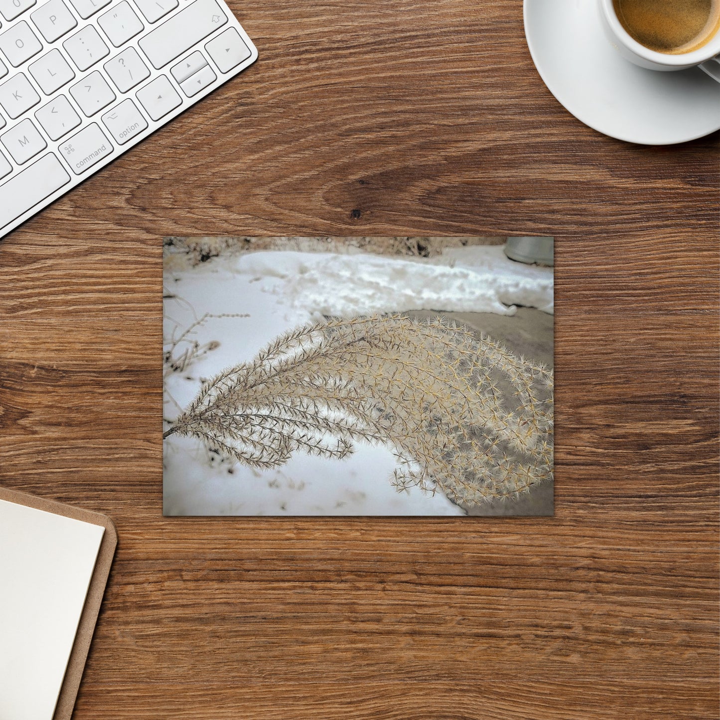 Greeting card- Winter Foliage