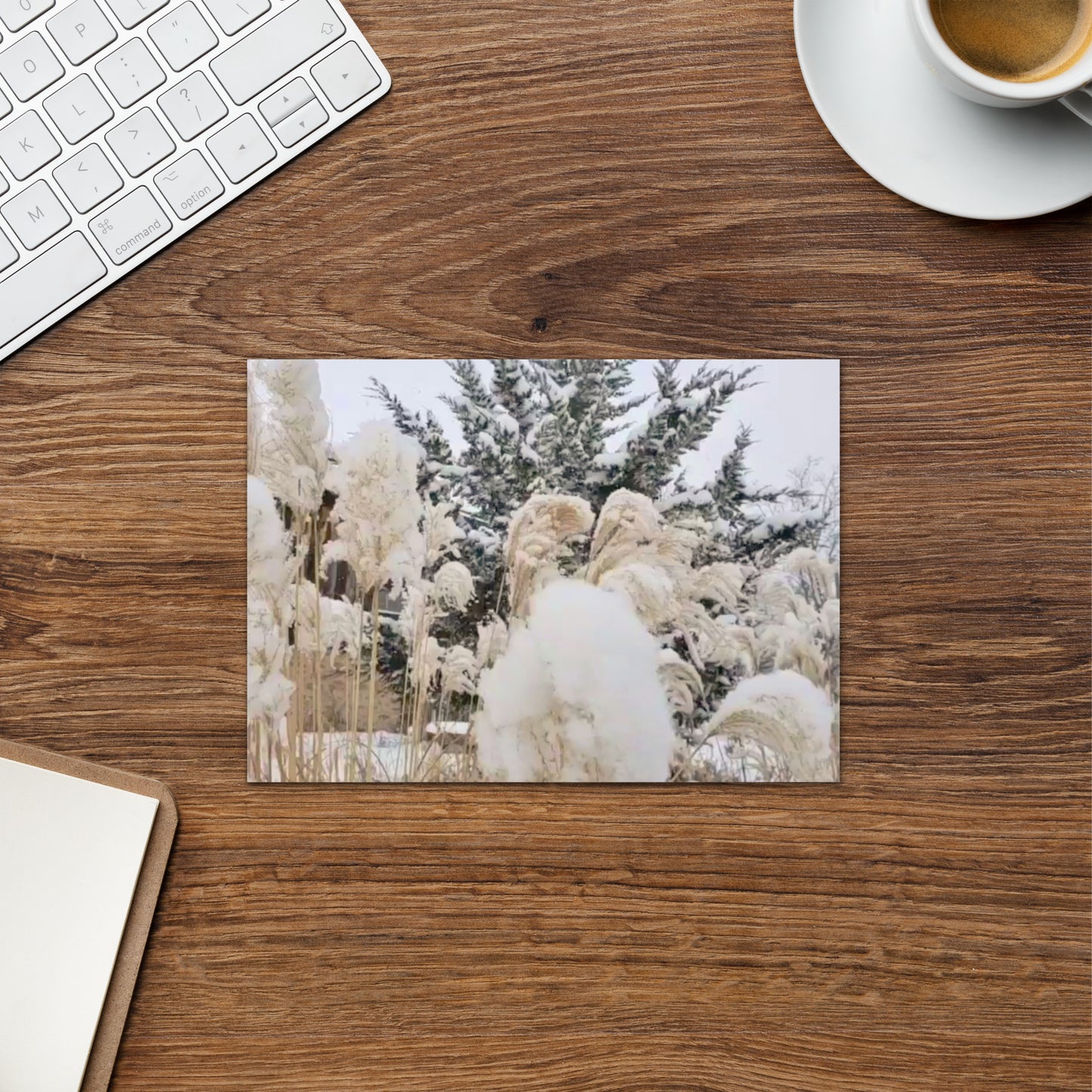Greeting card- Snowy Foliage