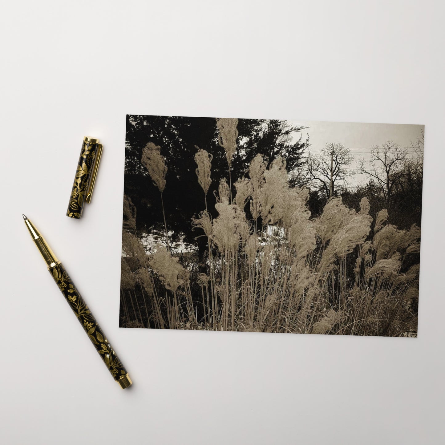 Greeting card- Winter's Nature