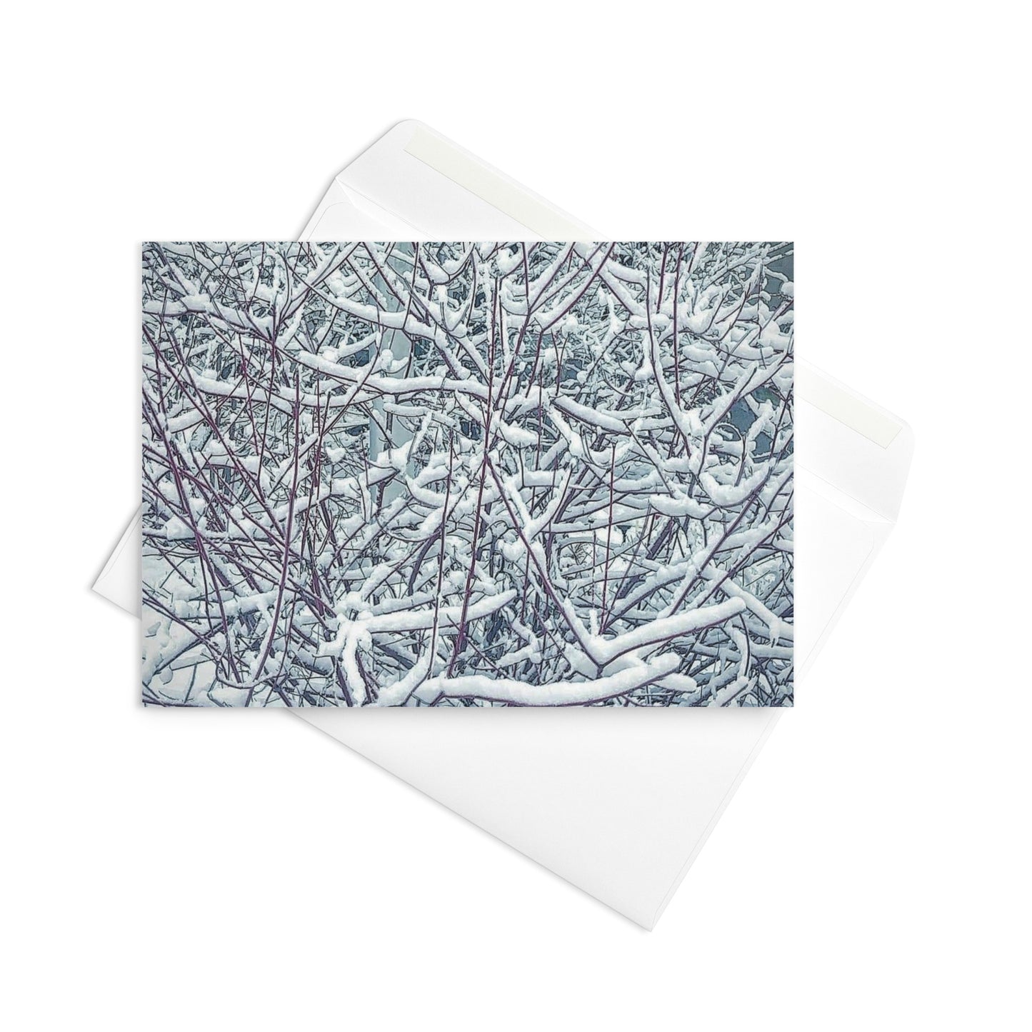 Greeting card- Snowy Bush
