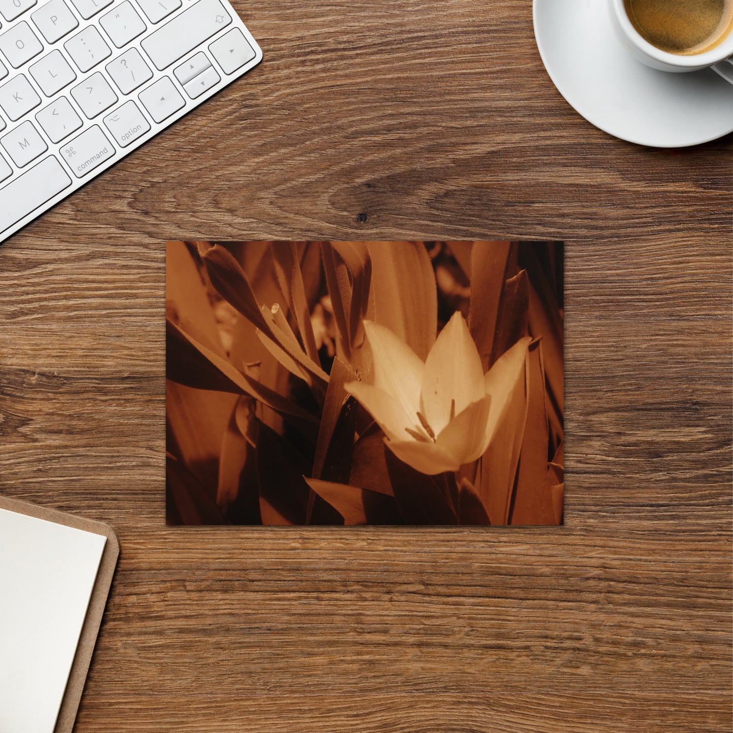 Greeting card - Sepia Opened Tulip