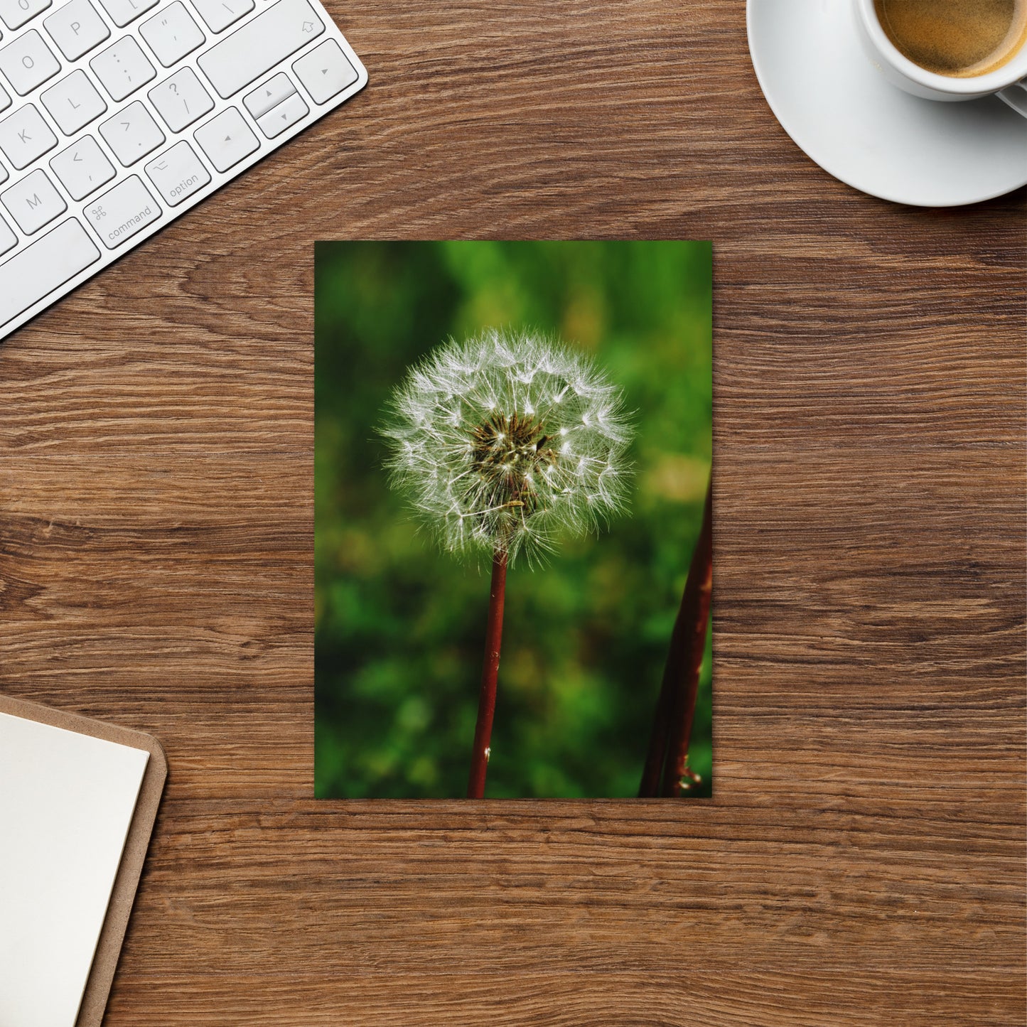 Greeting card - Dandelion Wish